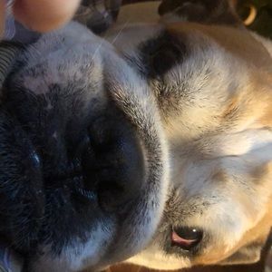 Meet your Posher, Jeanetta